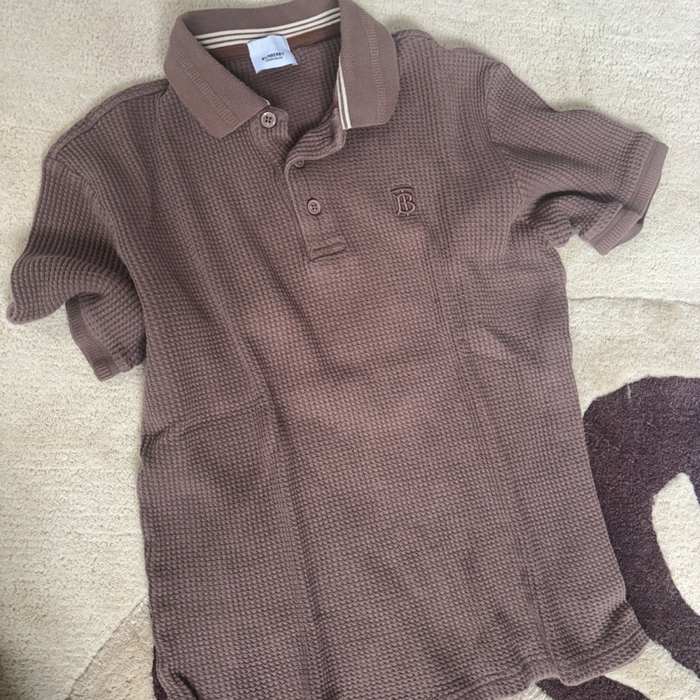 Men’s Polo (not real Burberry)